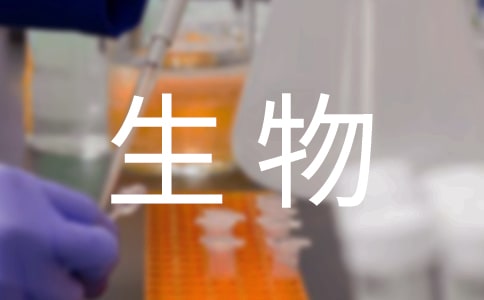 七年級生物第三章第一節(jié)葉片的結(jié)構(gòu)教案示例