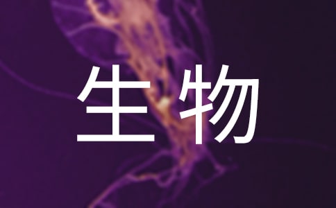 �P(gu��n)�ڸ�������̰�