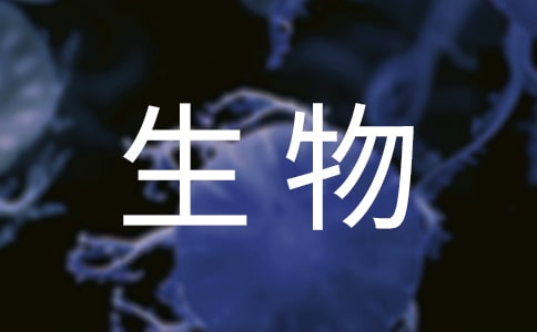 ���꼉�σ�������n�������x10ƪ��