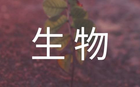 高一生物優(yōu)秀說課稿
