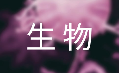 ��������̰������T��