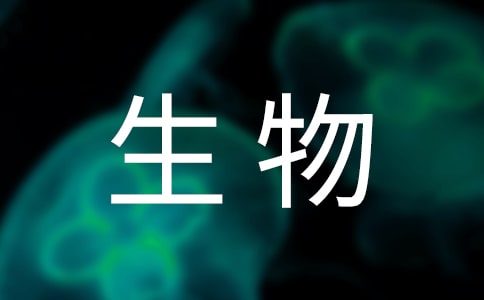 ���P(gu��n)��������̰�ģ��
