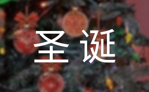 中班美術(shù)優(yōu)質(zhì)教案《菜園里的圣誕晚會(huì)》
