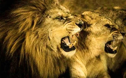 �{�ӵ���λ�x��з���