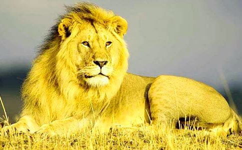 �{�����x���400�֣����x10ƪ��