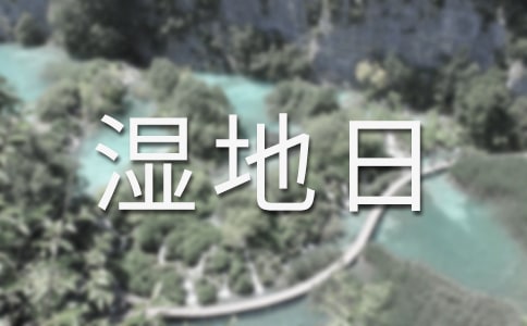 ���������������С�Y����