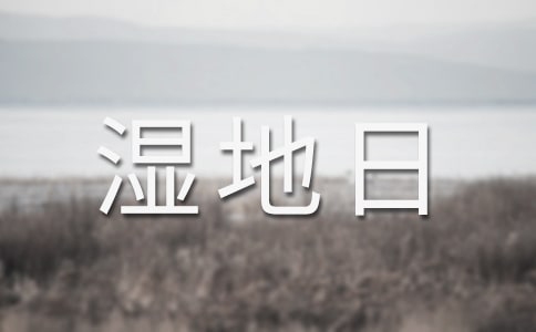 �������ջ�ӿ��Y