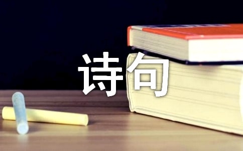 �P(gu��n)�����鲻�õ�Ԋ��