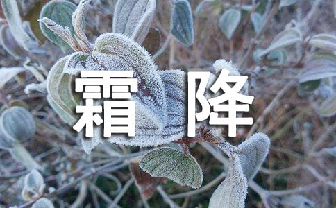 霜降暖心的話語