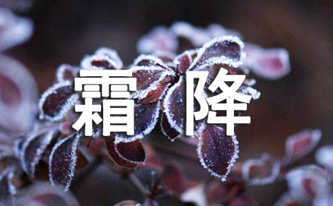 霜降的節(jié)氣文案