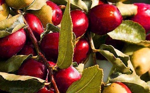 ��ؔ(c��i)��Nˮ������Щ