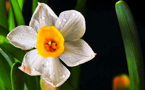 �x��������ˮ�����и�