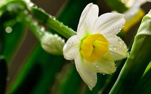 ˮ���_������