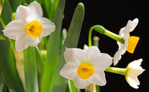 ��ӛժ����ˮ�ɵ���ӛ5�l
