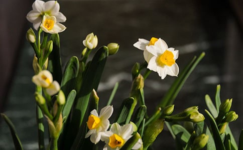 ˮ�ɵ����ġ���(y��u)�x��