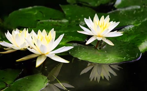 �茑˯ɏ�ă�(y��u)������