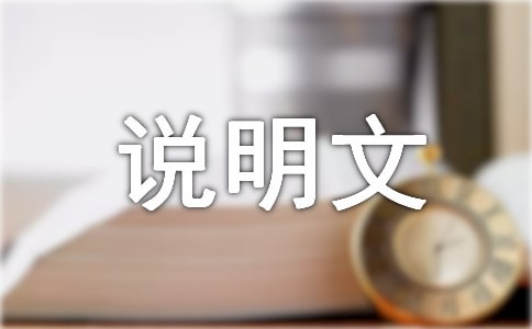 �P(gu��n)�ڰ��̲����f����800��