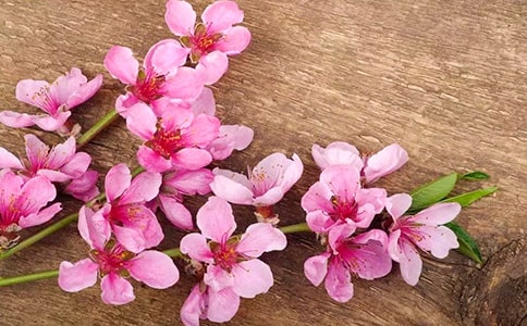 �茑(xi��)�����һ��ă�(y��u)������