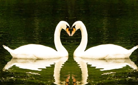 ����С̖�����Z���x���600�֣����x24ƪ��