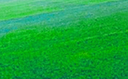 ����Ұ�Ę�(sh��)����(x��)�}����