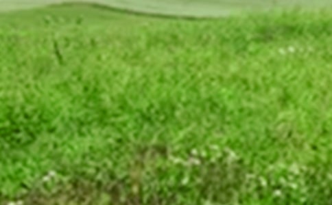 ����Ұ�Ę�(sh��)����x��