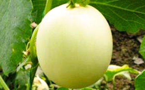 ��ϴ���Nֲ���g(sh��)��B