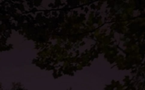 ���]Ψ����������190��