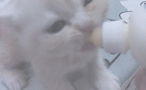 Ո(q��ng)�����֋�����νo����ι��