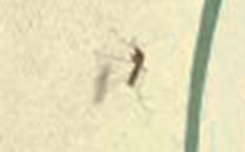 ���첻������ҧ�����н�B