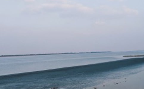 ��һ�Z(y��)�ġ����£��҂�����ȥ����x����(x��)�����𰸣�