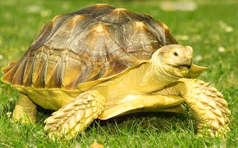 С����?sh��)����?00�� �Ե���С����