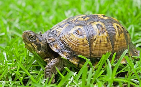 ����С����[�ϼ�]