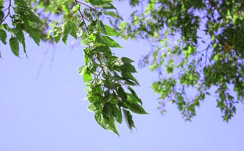 �P(gu��n)��Ψ���簲�İ������x30�䣩