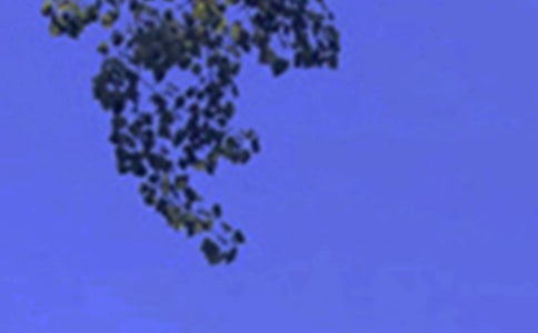 Ψ���簲�İ���ȫ90��
