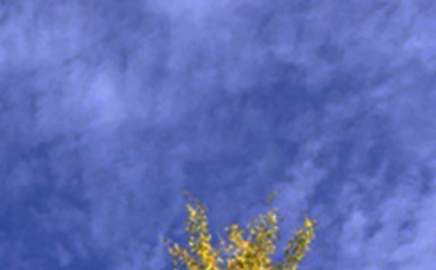��(j��ng)���ܰ�簲�f�f��ͨ��80�䣩