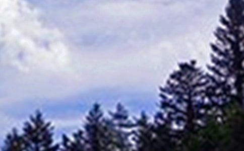 �P��ů���簲�İ���ȫ�����x100�䣩