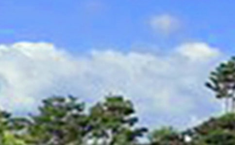 �簲�����Z310��