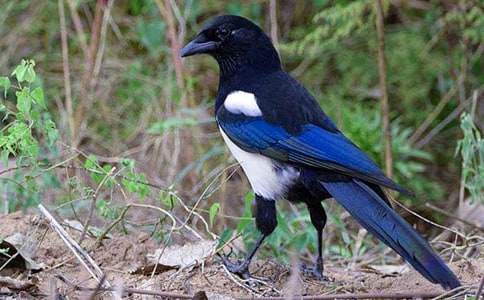 (��(y��u)��)ϲ�o������