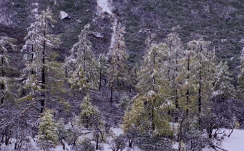 冬天下雪傷感的句子