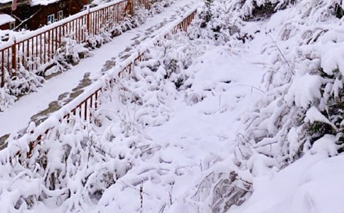 關(guān)于下雪的日記(精選30篇)