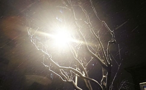 ��ѩ��l(f��)�����İ�280��