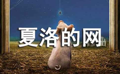 讀《夏洛的網(wǎng)》有感通用15篇