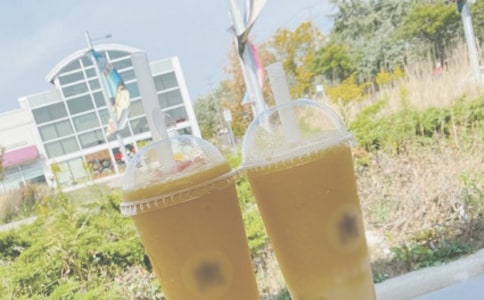 夏日的雜文隨筆