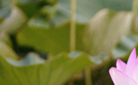 ����������Ԋ(sh��)��