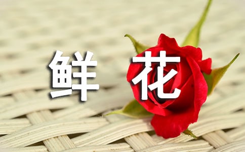 �P(gu��n)���r���������İ�160��