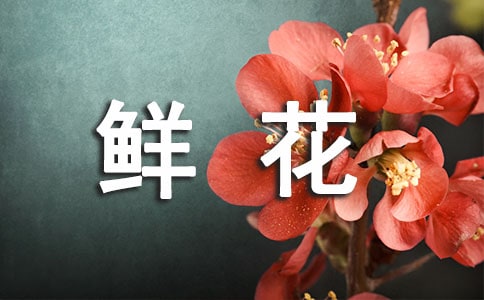 Ů���յ��r���������İ�
