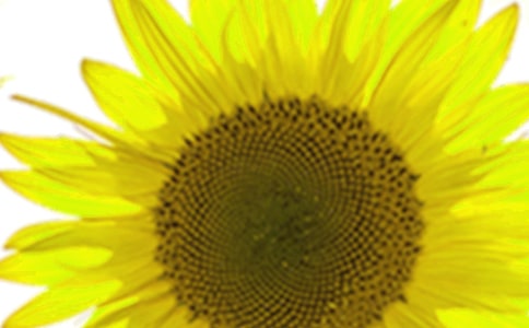 ���տ���x����