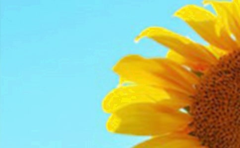 �p���տ�����