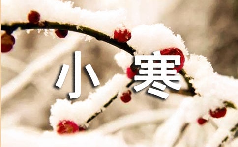 適合小寒朋友圈的文案
