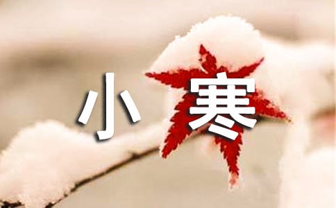 大班節(jié)氣小寒教案